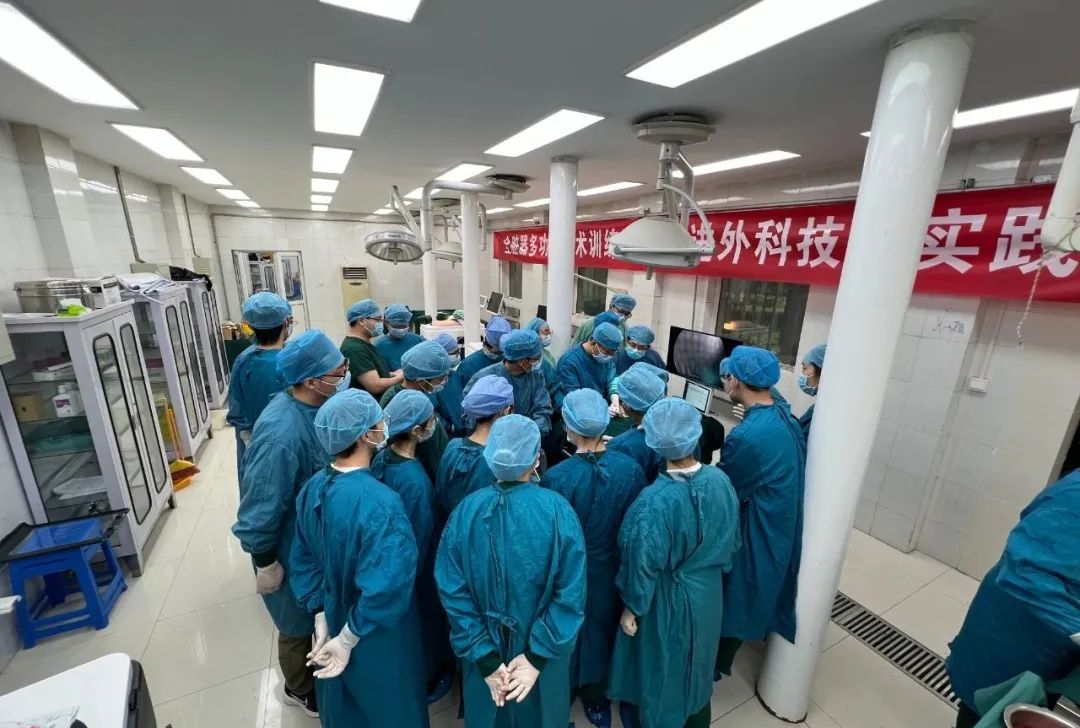 高仿真腔镜手术训练系统,聚焦人才培养,提升腔镜技能